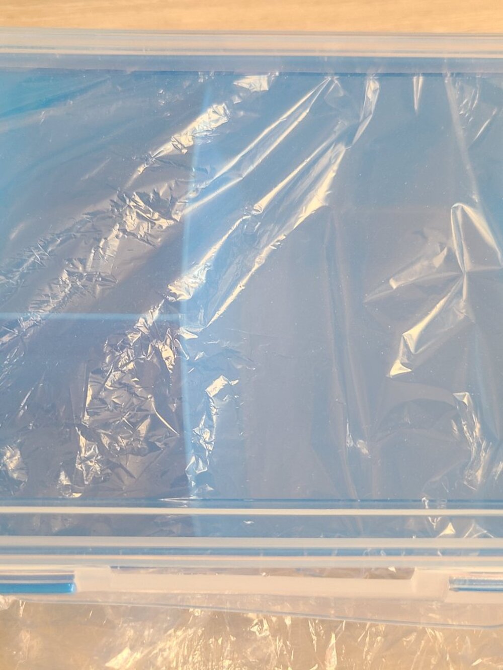 Individual Food Container - Picture 2 of 4
